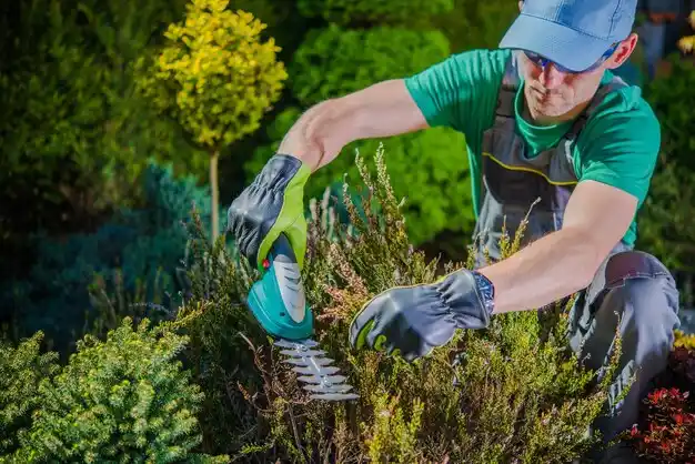 landscaping services Dexter